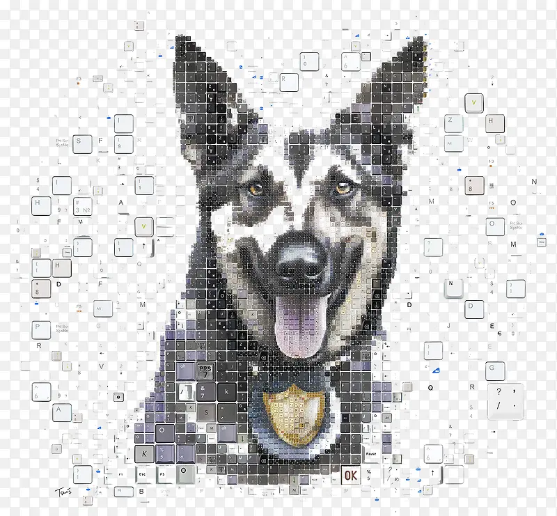 创意狗狗键盘图案