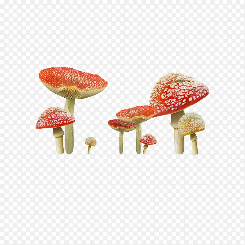 蘑菇免抠图