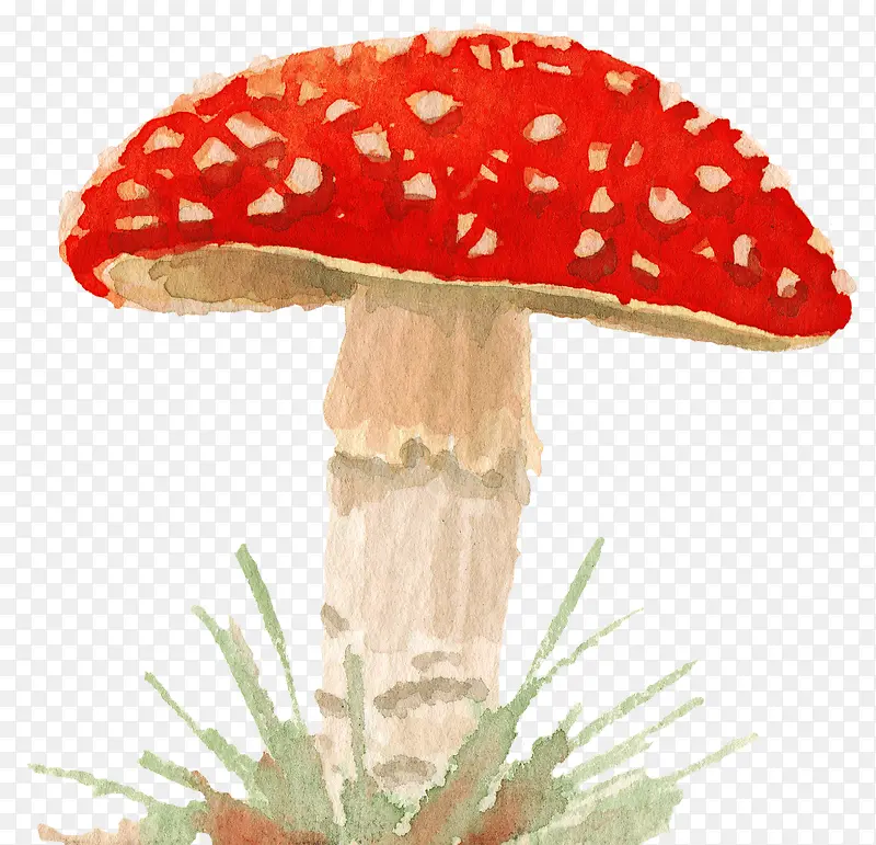 手绘红色蘑菇装饰