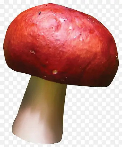 红色漂亮蘑菇