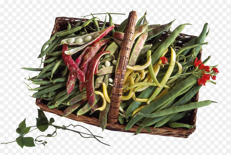 创意篮子中的各种蔬菜