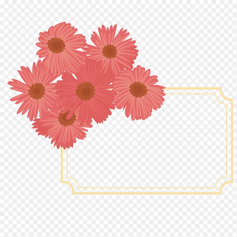 矢量非洲菊