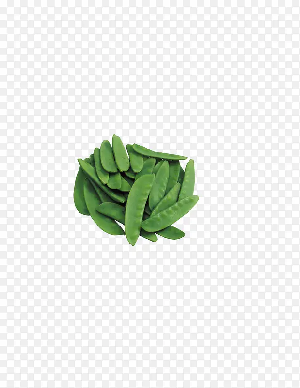 绿色的扁豆