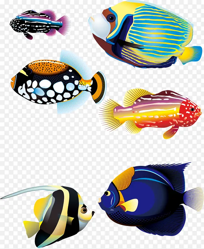 几款色彩艳丽的海洋鱼类