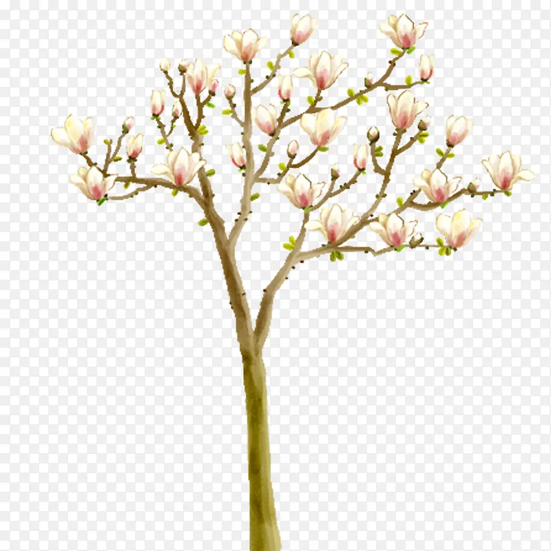 一颗桃花树