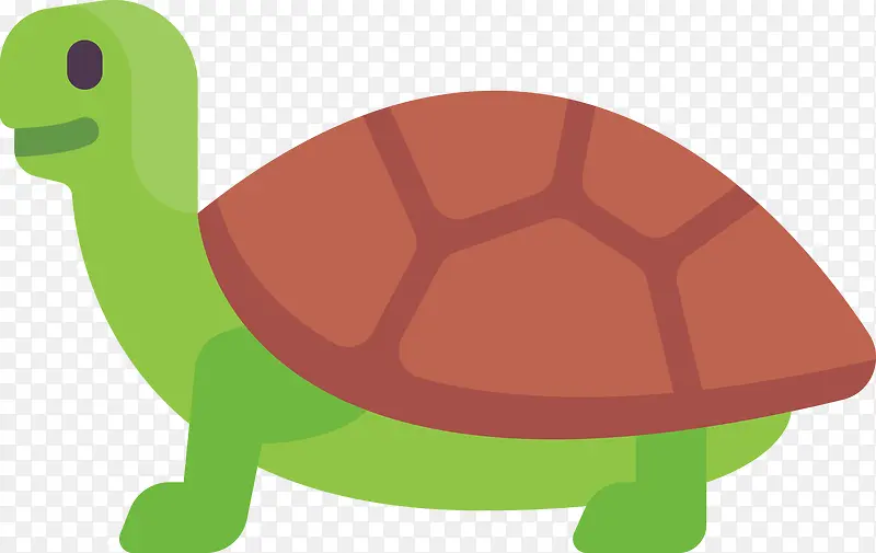 一只小乌龟