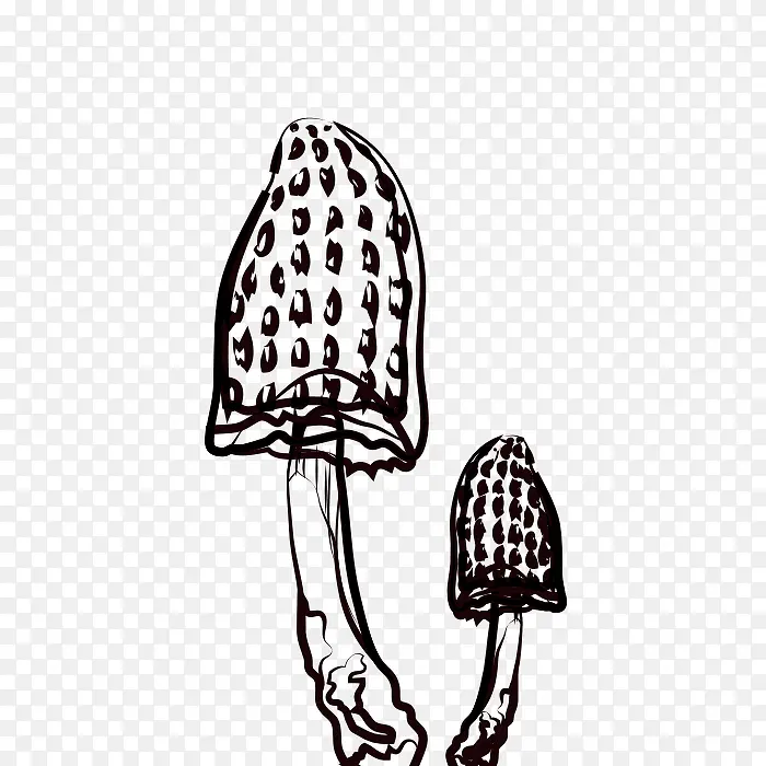 两个蘑菇