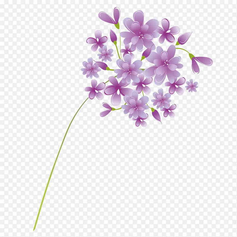 矢量一束紫色花草茂盛