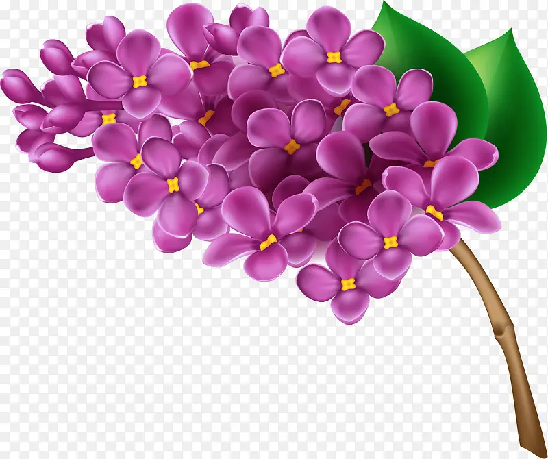 紫色手绘花朵