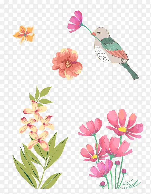 手绘小鸟和花朵花束