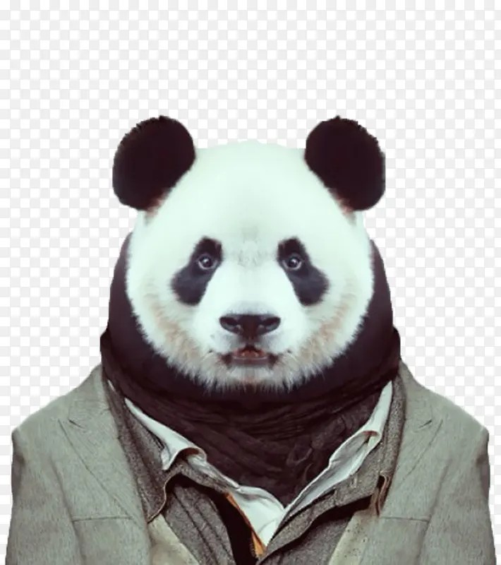 熊猫先生