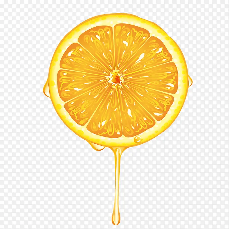 新鲜切开的橙子矢量图