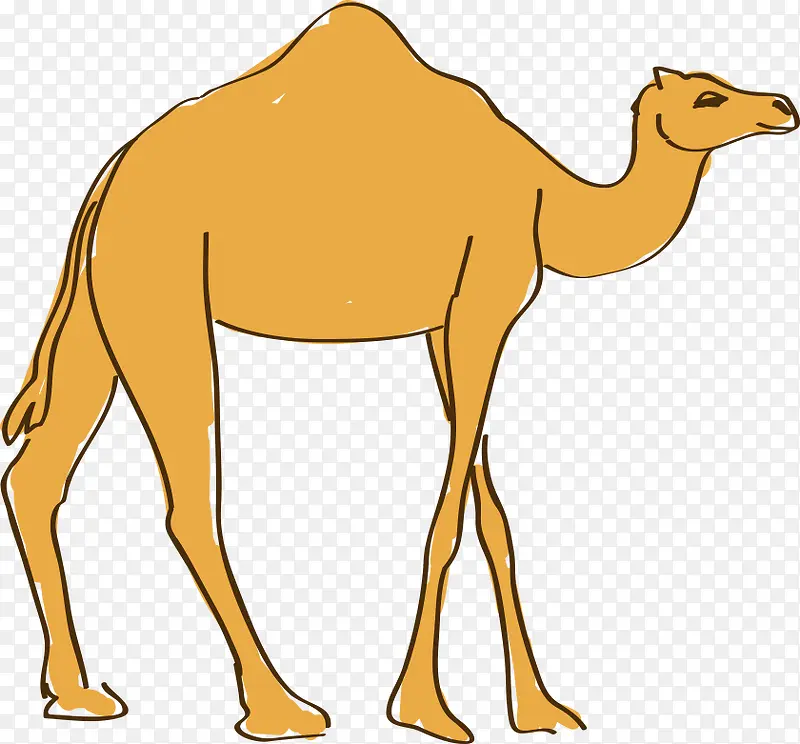手绘卡通骆驼