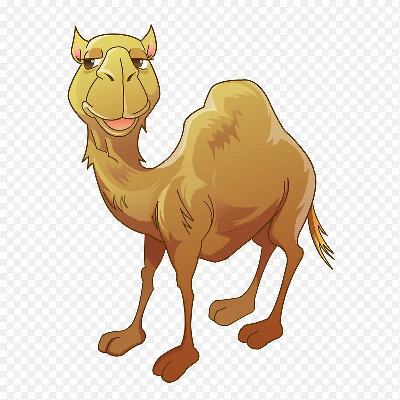 卡通骆驼动物设计