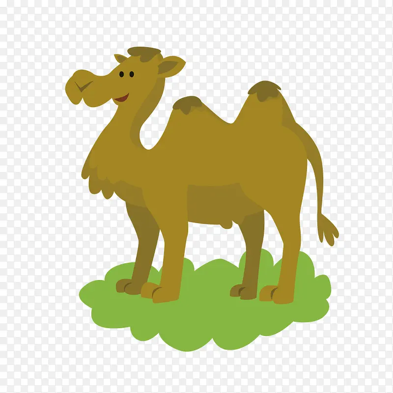 卡通骆驼PNG下载
