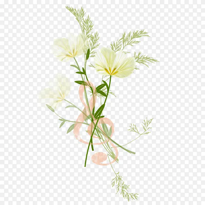 花朵