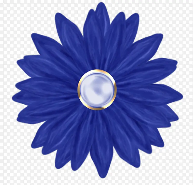 蓝色千叶菊