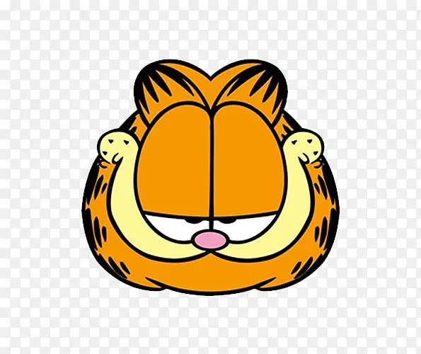 橙色的加菲猫