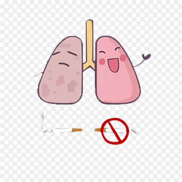 吸烟和不吸烟者肺的对比