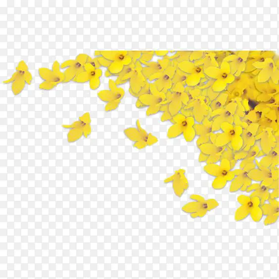 黄色花瓣装饰