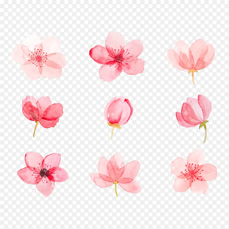春天手绘粉色桃花
