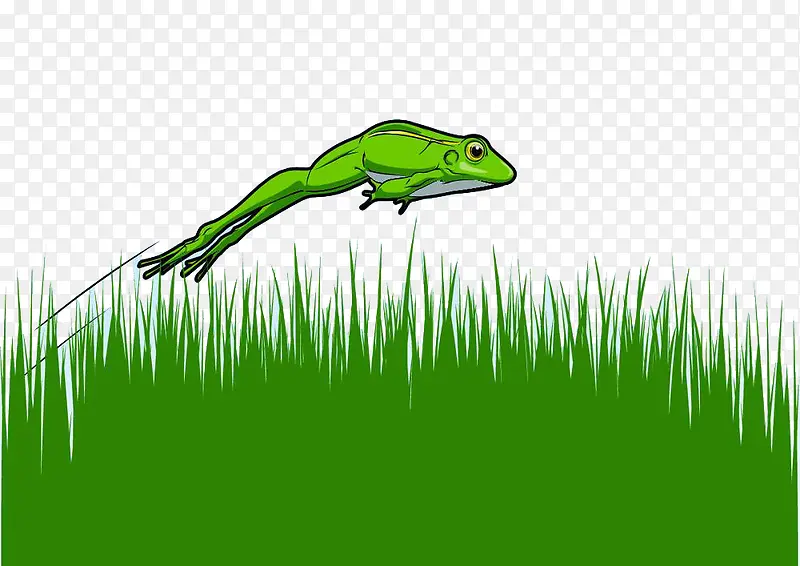 绿色草地上跳跃的捕食小青蛙