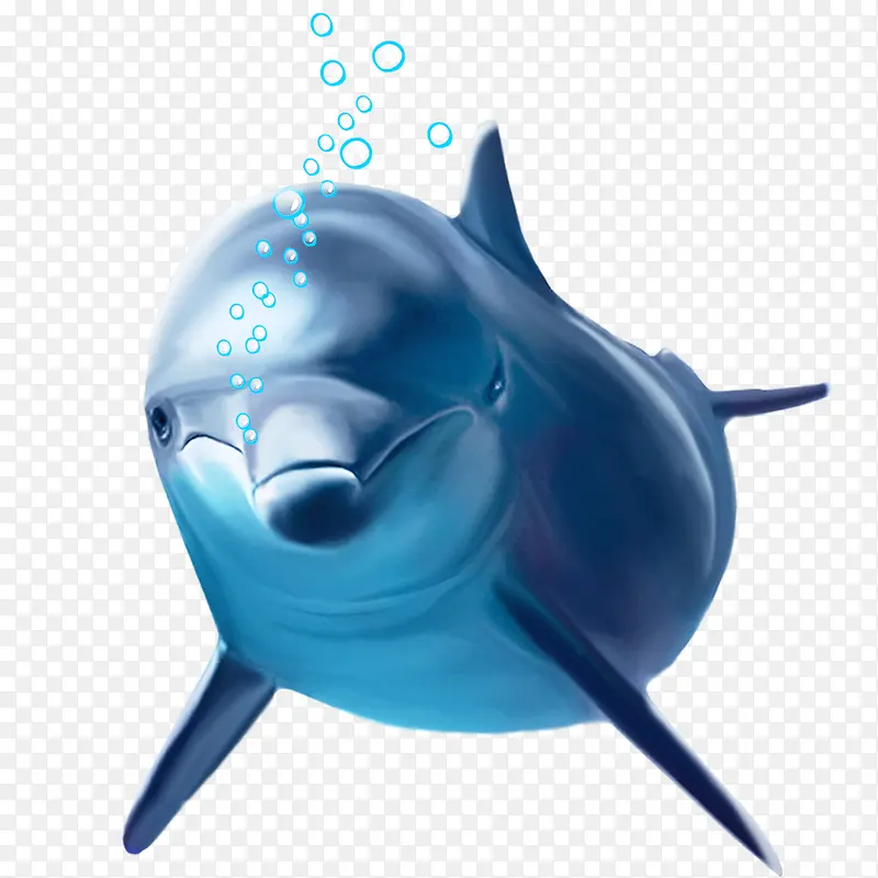 吐泡泡的蓝色海豚