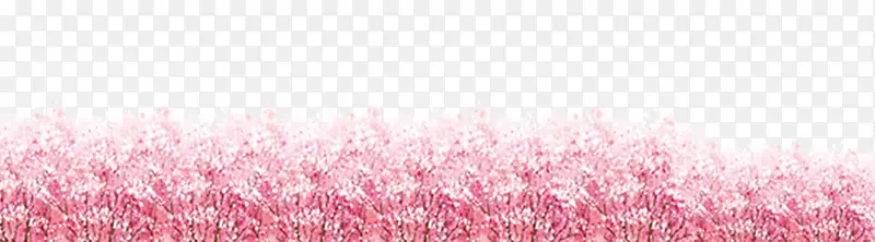 粉色樱花节鲜花背景