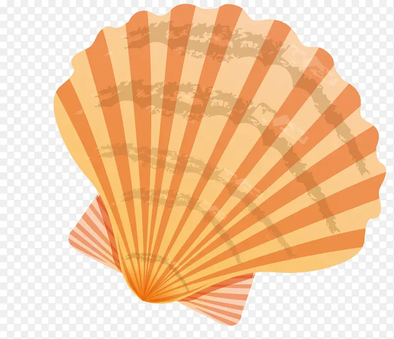 手绘卡通扇贝贝壳