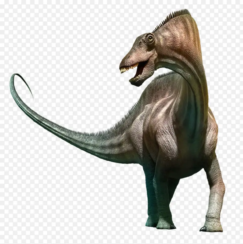 阿马加龙属灭绝生物实物