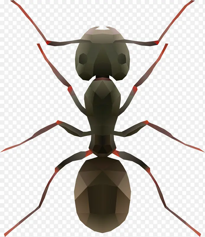 一只黑色大蚂蚁图案