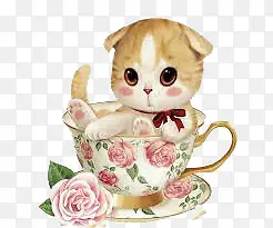 茶杯猫