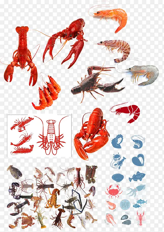 各式各样的海鲜龙虾