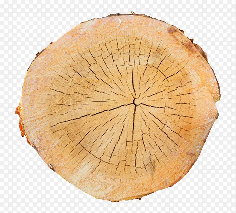 卡其色表面爆裂的木头截面实物