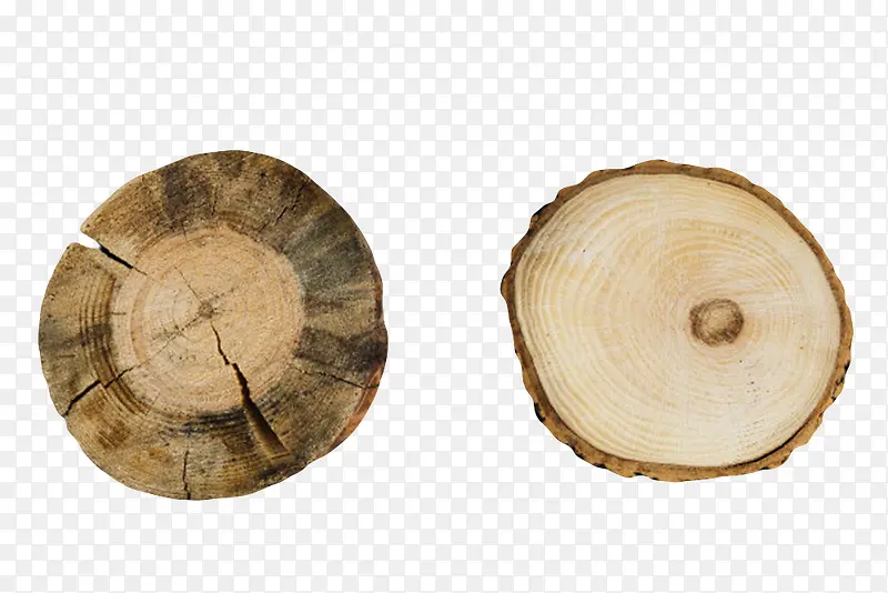 椭圆形裂开的木头截面实物