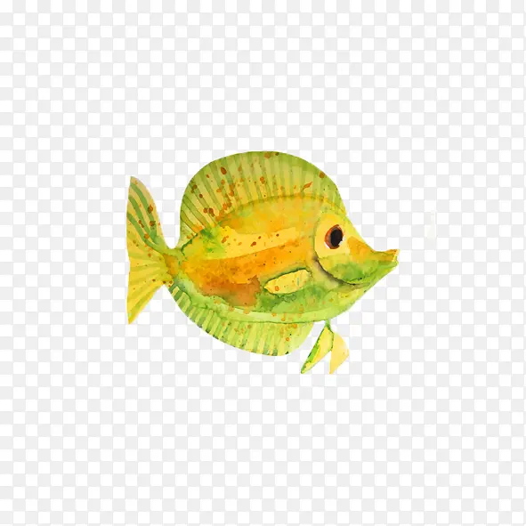 黄色手绘水彩海洋生物鱼类图案