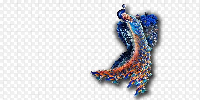 孔雀