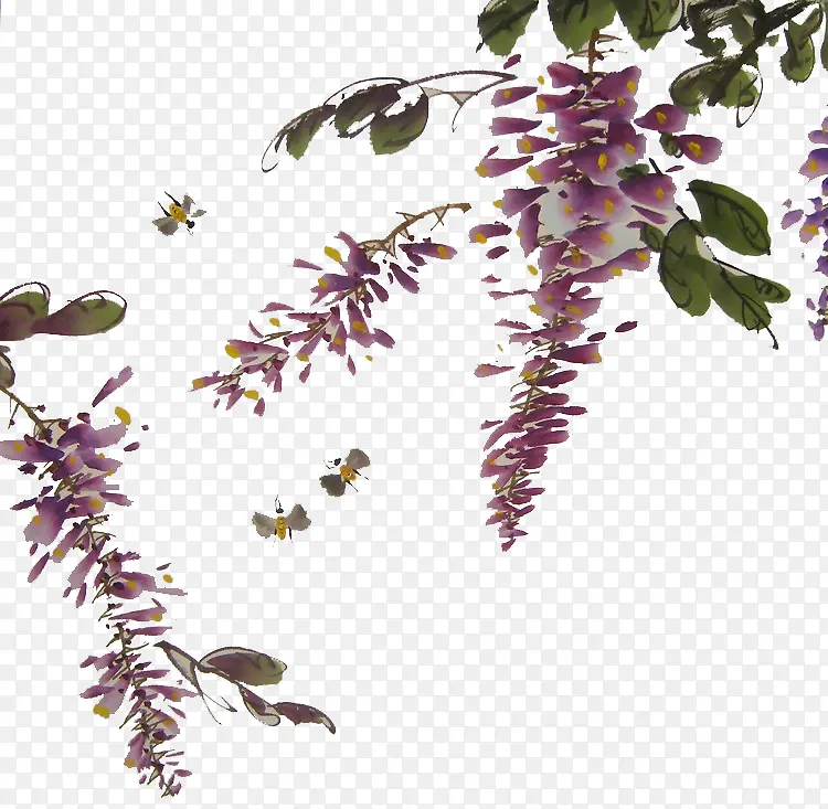 昆虫与紫藤