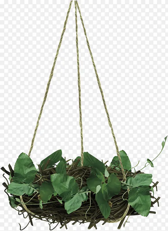 绿色简约植物吊篮装饰图案