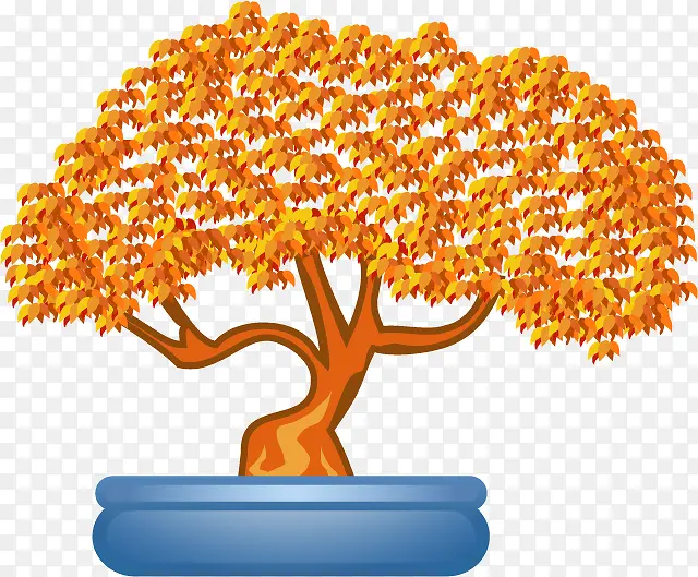 橙色树盆景