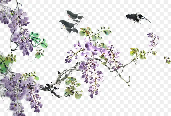 小鸟儿与紫藤