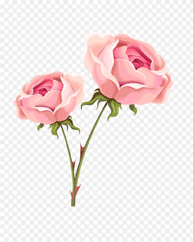 粉色玫瑰花情人节