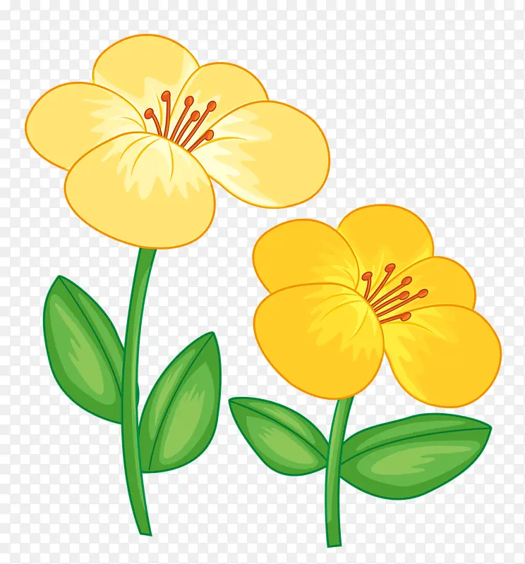 两朵小黄花