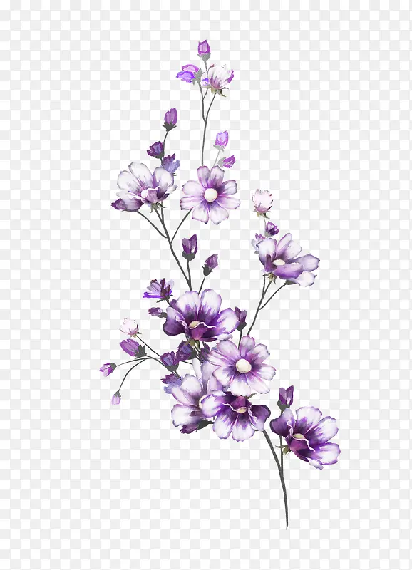 卡通手绘紫色的花卉