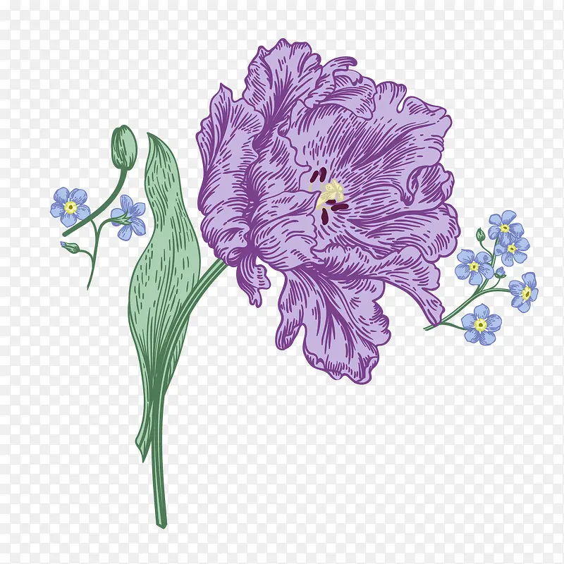 水彩绘紫色花卉矢量图