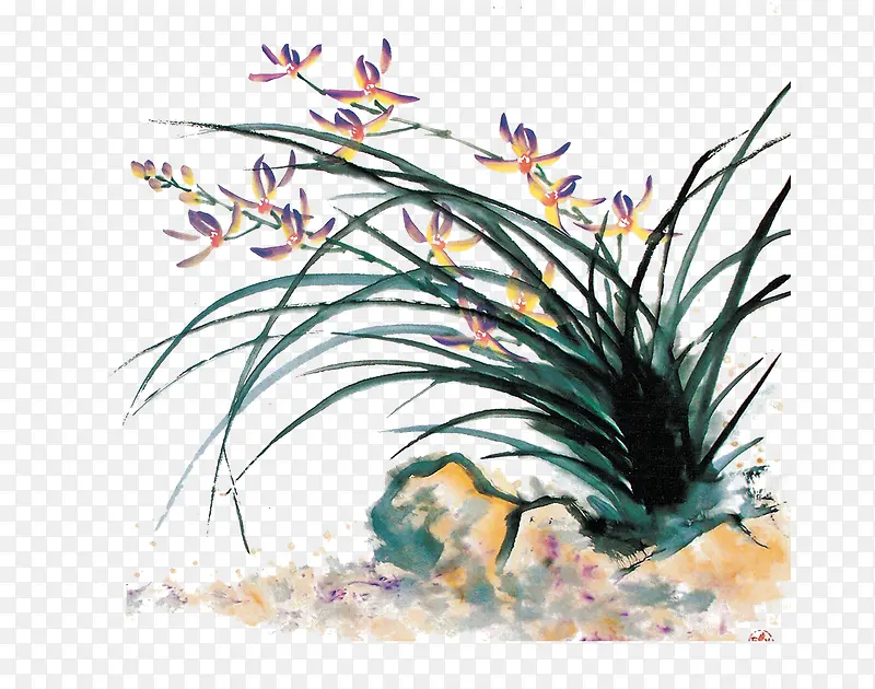 石头和兰草