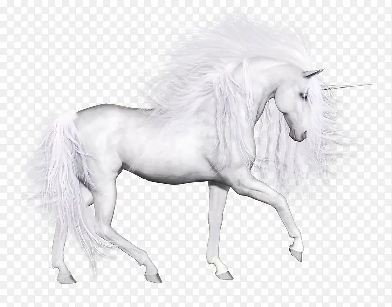 纯白色独角马