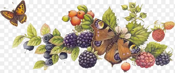 卡通花饰图片素材  水果 蝴蝶 