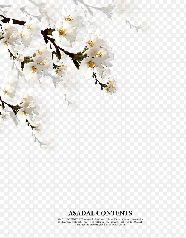 浪漫花卉