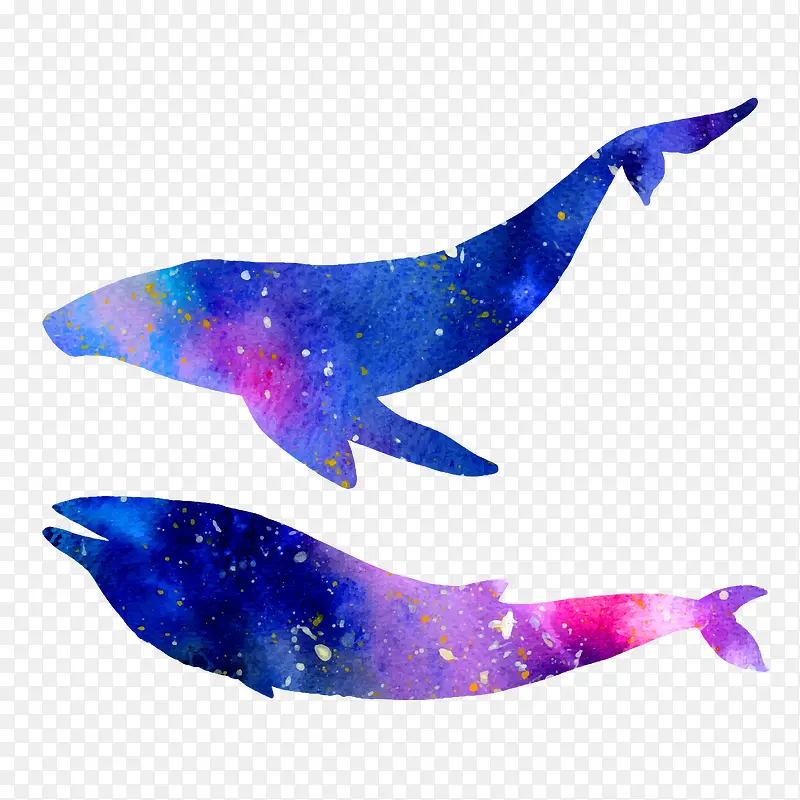 蓝色的鲸鱼